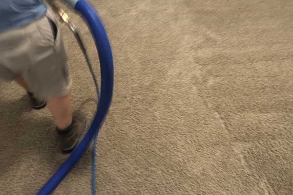 carpet-cleaner-phoenix