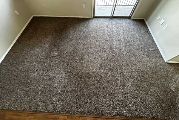 eco-friendly-carpet-cleaner-az