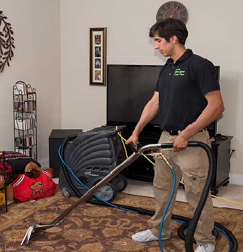 carpet-cleaner-virginia