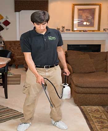 domestic-cleaner-near-me